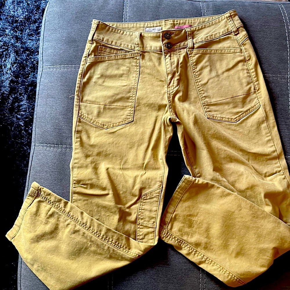 Anthropology Pilcro The Wanderer size 29